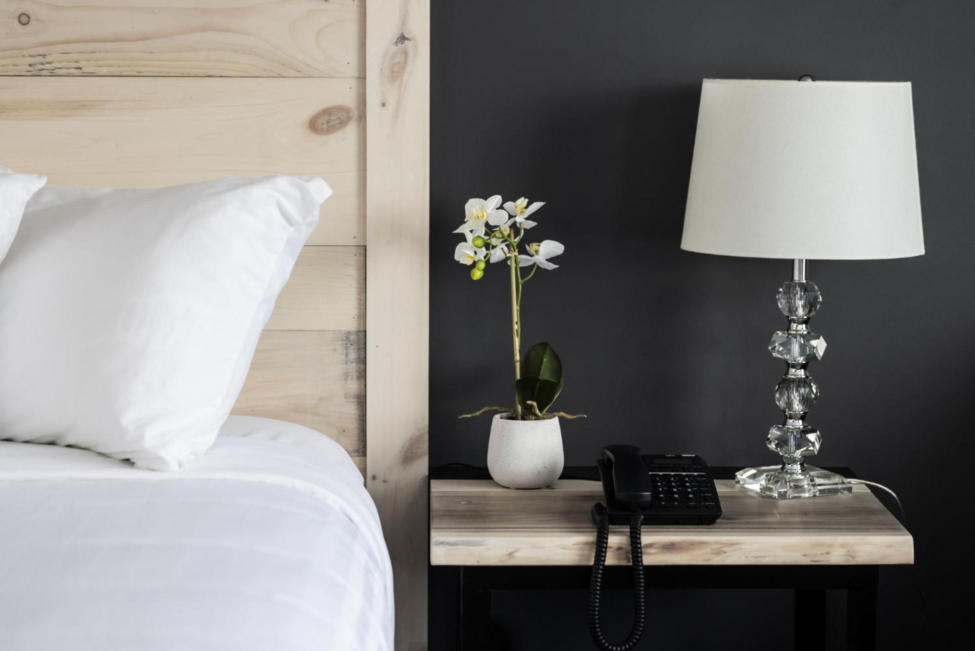 Hotel Napoleon Angers Ngoại thất bức ảnh